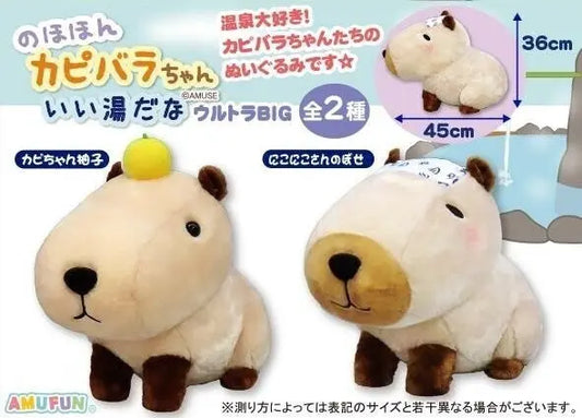 Amuse Ultra BIG Nohohon Kapibara-chan -Capybara- plush Pom Pom Tina